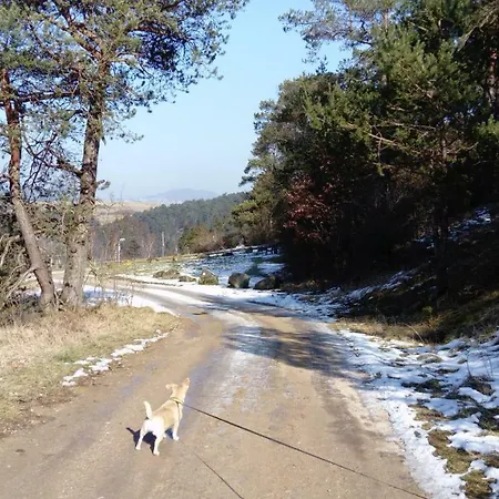 Eifelpur Holiday home Ahrdorf