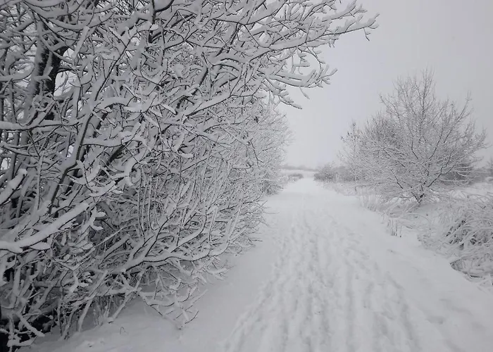 Eifelpur بيت للعطل